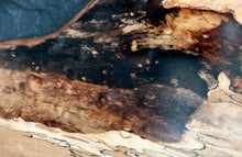 Load image into Gallery viewer, Spalted Burl Maple Live Edge Black Epoxy River Table