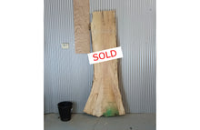 Load image into Gallery viewer, Slab For Your Custom River Table | Slab 3032602