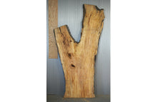 Load image into Gallery viewer, Slab For Your Custom River Table | Slab 4202611